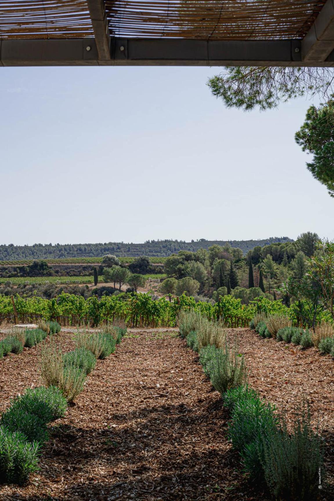 Les Villas Du Chateau De Lastours Portel-des-Corbieres Eksteriør billede